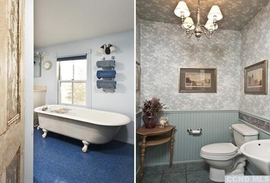 367 Viewmont Rd, Germantown, NY 12526 - photo 7