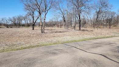 50459 N Lakeview, Pawnee, OK 74058 - photo 3
