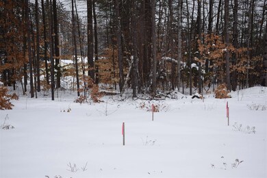 0 Greemore Rd, Meredith, NH 03253 - photo 6