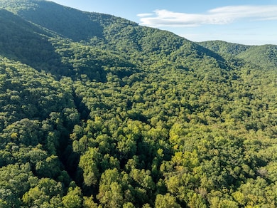 Lot 3 Wilderness Way, Ellijay, GA 30536 - photo 6