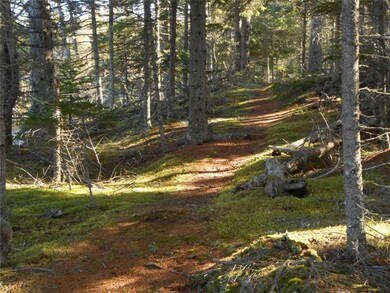 Lot 25 Lucas Ln, Whiting, ME 04691 - photo 4