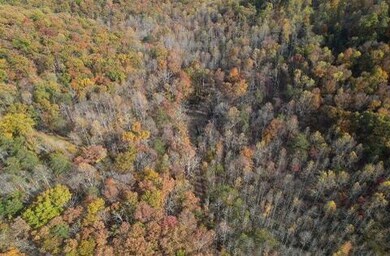 2159 Narrow Gap Rd, Crab Orchard, KY 40419 - photo 4