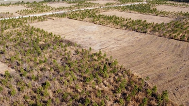 4 S Carolina 6, Cross, SC 29436 - photo 6