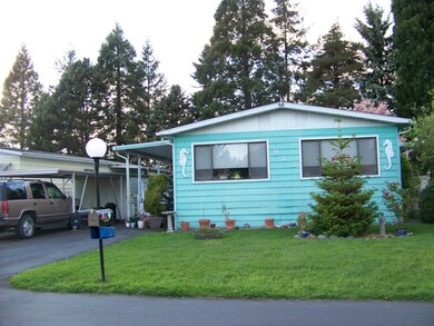 923 Pine Dr, Enumclaw, WA 98022 - photo 3