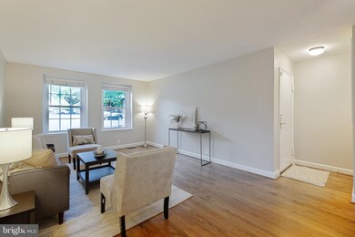 3008 S Columbus St unit A2, Arlington, VA 22206 - photo 6