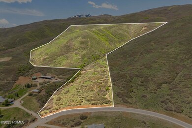 002_978suplandloop01_376