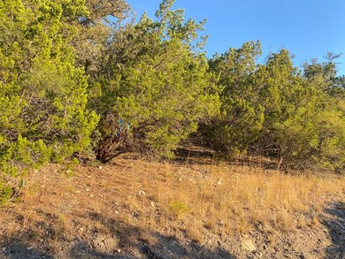 000 Frio Canyon Loop unit 16, Concan, TX 78838 - photo 3