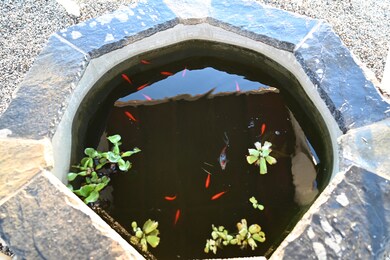 IMG_9127 (1)
