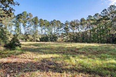 0 Spring Grove Rd, Adams Run, SC 29426 - photo 7