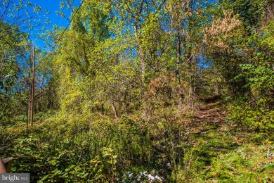 LOT D Rocky Ln, Front Royal, VA 22630 - photo 3