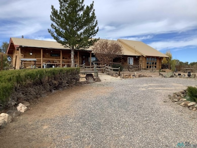 295 Pine Hill Rd, Fence Lake, NM 87315 - photo 3