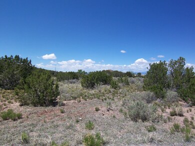 786 Highway 165, Placitas, NM 87043 - photo 7