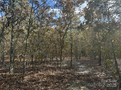 0 Fox Rd, Marston, NC 28363 - photo 5