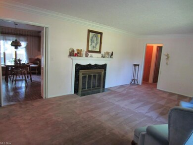 Living room also enters bedroom area and kitchen.