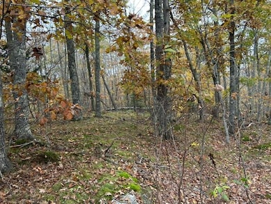 image1 (21)