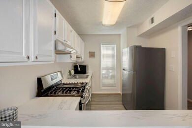 11966 Cardamom Dr, Woodbridge, VA 22192 - photo 5