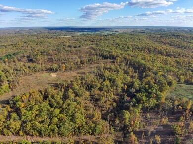 000 Berry Rd, Cabool, MO 65689 - photo 4