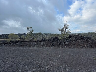 Using the natural hardened lava rocks and Ohia lehua to create a private area for your new plans.