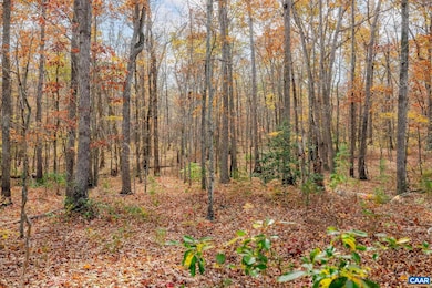 Lot 5 Coles Rolling Rd, Scottsville, VA 24590 - photo 5