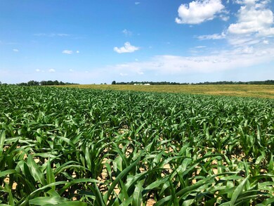 98.33 acres Pikes Peak Rd, Lancaster, WI 53813 - photo 7