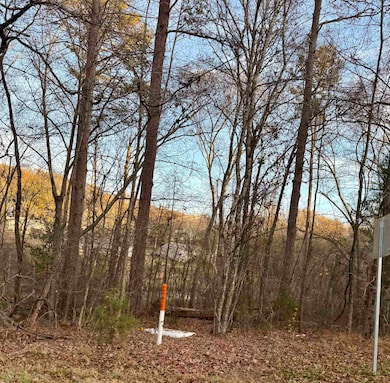 0 Old Furnace Rd, Boiling Springs, SC 29316 - photo 4