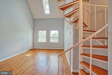 4607 36th St S unit B1, Arlington, VA 22206 - photo 6