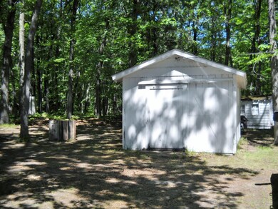 12014 Lake Ave, Bitely, MI 49309 - photo 2