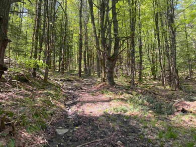 00 Minard Rd, Westminster, VT 05346 - photo 5