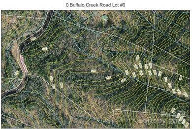 0 Buffalo Creek Rd unit CAR4155198, Lake Lure, NC 28746 - photo 5