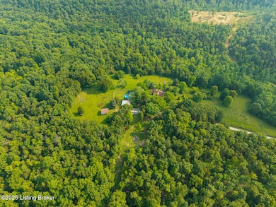 410 Cedar Flats Rd, Battletown, KY 40104 - photo 7