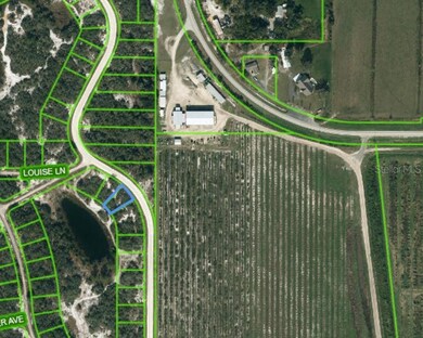 204 Lakeland Dr, Lake Placid, FL 33852 - photo 2