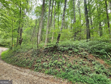 TRACT 2B Poplar Cove Rd, Suches, GA 30572 - photo 2