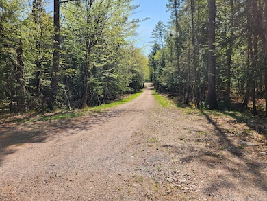 Road to the Property
