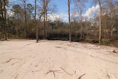 28 Dustin Ln, Crawfordville, FL 32327 - photo 5