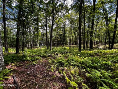 285 Tink Wig Dr, Lackawaxen Township, PA 18428 - photo 3