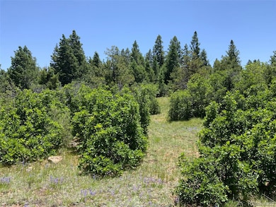 000 Peak View Ridge unit 6, Canon City, CO 81212 - photo 6