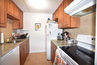 12-16 Ellery St unit 205, Cambridge, MA 02138 - photo 4