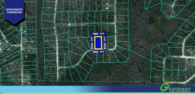 0 Yvette Dr unit 25692877, Alford, FL 32420 - photo 5