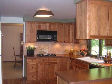 Kitchen Very Nice Hickory Cabinets With Kitchen Si