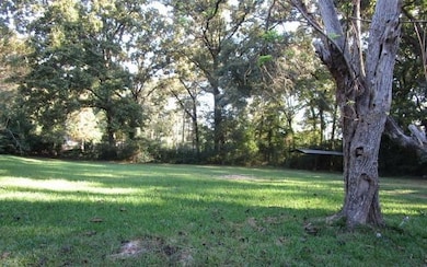 239 Spring Creek Rd, Jena, LA 71342 - photo 3