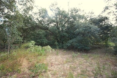 4344 N Indianhead Rd, Hernando, FL 34442 - photo 7