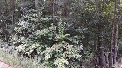 355 Crystal Bay Dr, Denton, NC 27239 - photo 3