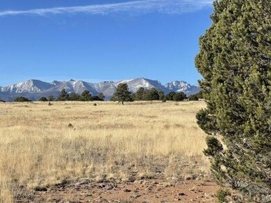 Beautiful Meadow and View of Sangres