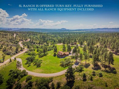 542 Sheep Springs, Durango, CO 81301 - photo 2