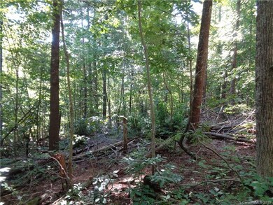 51 Morning Star Dr unit 27, Leicester, NC 28748 - photo 3