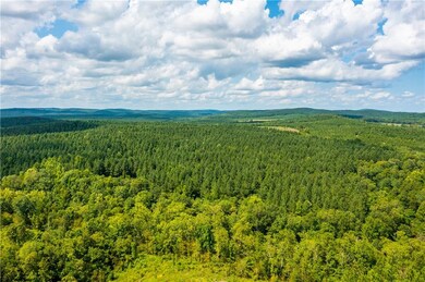 0 Camp Ranch Rd, Broken Bow, OK 74728 - photo 7