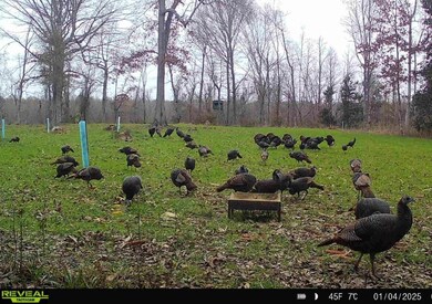 38 Holstead Rd, Natchez, MS 39120 - photo 6