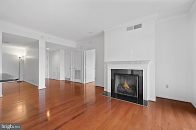 Elan East Market Condominiums unit 505, Fairfax, VA 22033 - photo 6