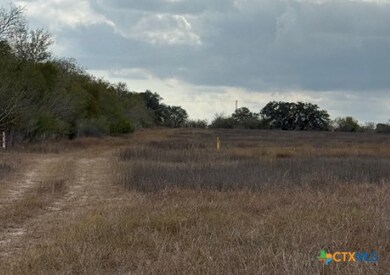 00 County Road 302, Runge, TX 78151 - photo 5