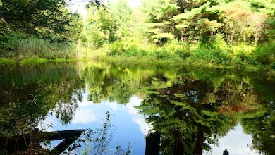 155 River Rd, Worthington, MA 01098 - photo 4